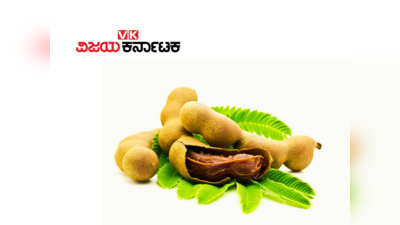 Tamarind Tree: ಹುಣಸೆ ಹಣ್ಣಿಗೆ ಮಾತ್ರವಲ್ಲ, ಹುಣಸೆ ಮರಕ್ಕೂ ಇದೆ ಧಾರ್ಮಿಕ ಮಹತ್ವ.!