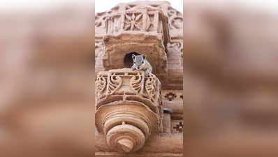 ముండేశ్వరి దేవి ఆలయం, బీహార్ 