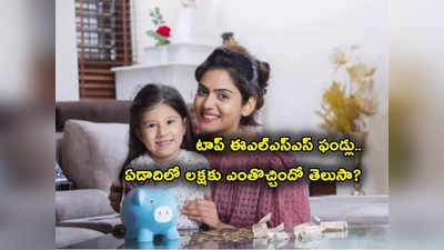 ELSS Funds: ఏడాదిలోనే లక్షకు రూ. 1.61 లక్షలు.. బెస్ట్ ఎల్ఎస్ఎస్ ఫండ్లు ఇవే.. లిస్ట్‌లో SBI, HDFC! 