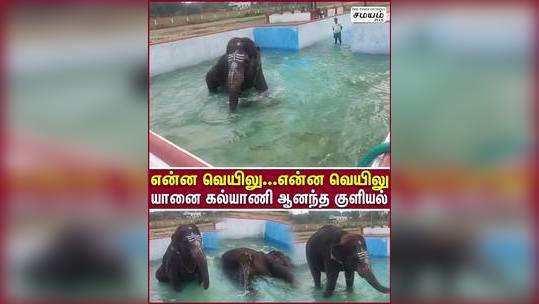 coimbatore pateeswarar temple elephant kalyani enjoy bathing