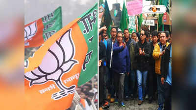 Darjeeling News : পাহাড় সমস্যা সমাধানের সম্পূর্ণ আশ্বাস চাই, BJP-র দরবারে জিএনএলএফ-মোর্চা