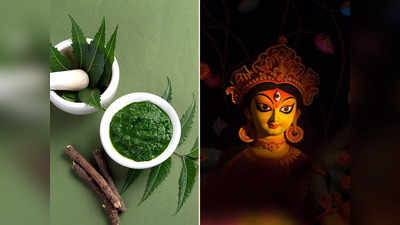 Chaitra Month Upay: চৈত্র মাসে নিম গাছেই বাস মা দুর্গার, এই সময় নিমের ব্যবহার জাদুর ছোঁয়া আনে জীবনে