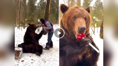 Bear Eating Lollipop: बंदे ने भालू को दिखाई लॉलीपॉप, खूंखार जानवर बन गया बच्चा, वीडियो दिल जीत लेगा