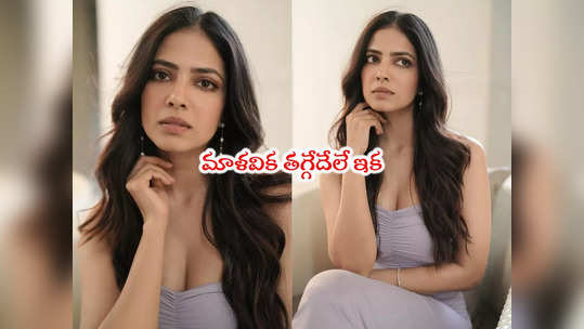 Malavika Mohanan: మాళవిక మోహనన్ గ్లామర్ అదిరెన్.. లేటెస్ట్ పిక్స్ 