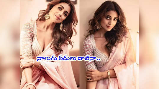 Shriya Saran: శ్రియ చీర కడితే ఆ అందమే వేరయా.. ఇప్పటికీ ...                                         