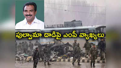 Pulwama Attack: పుల్వామా దాడి పాకిస్థాన్ చేయించలేదు: కాంగ్రెస్ ఎంపీ 