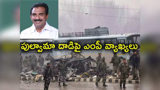 Pulwama Attack: పుల్వామా దాడి పాకిస్థాన్ చేయించలేదు: కాంగ్రెస్ ఎంపీ 