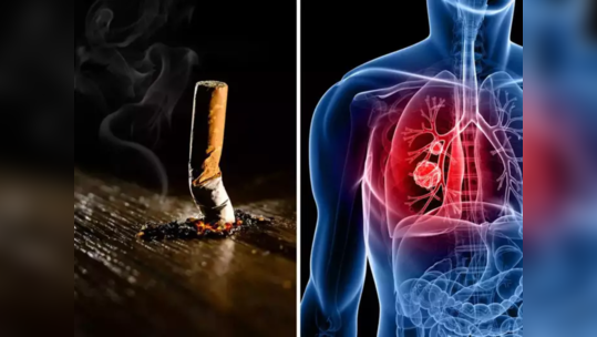 सिगारेटचं व्यसन सोडायचं आहे पण सुटेना? फुफ्फुसे सडण्याआधी खा या 5 गोष्टी, Lungs मजबूत होऊन मिळेल शुद्ध ऑक्सिजन