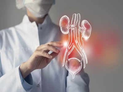 Kidney Function Test: কতটা সুস্থ আপনার কিডনি? বাড়িতে বসেই জেনে নিন