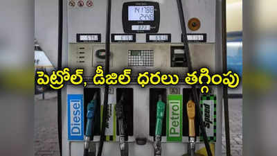Petrol Diesel Price: ఎన్నికల వేళ కేంద్రం గుడ్‌న్యూస్.. పెట్రోల్, డీజిల్ ధరలు తగ్గింపు