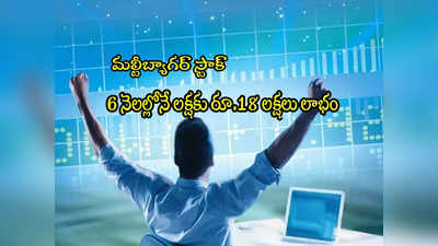 Multibagger: రూ.22 నుంచి రూ.450కి షేరు.. 6నెలల్లో 1800 శాతం లాభం.. లక్షపెడితే రూ.18 లక్షలు! 