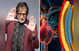 अमिताभ बच्चन के दिल की हुई सर्जरी? नसों की ब्लॉकेज खोलती है एंजियोप्लास्टी, हार्ट अटैक से बचाने का उपाय