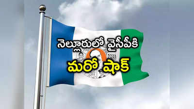 YSRCP: నెల్లూరు జిల్లాలో వైసీపీకి మరోషాక్.. పార్టీని వీడిన మరో రెడ్డి 