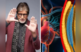 Amitabh Bachchan ची हृदयविकाराच्या झटक्यामुळे सर्जरी? नसातील ब्लॉकेज खोलते अँजिओप्लास्टी, वाचा अटॅक रोखणारे उपाय