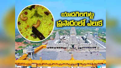 Yadagirigutta: యాదాద్రి లక్ష్మీనరసింహస్వామి పులిహోర ప్రసాదంలో ఎలుక..!