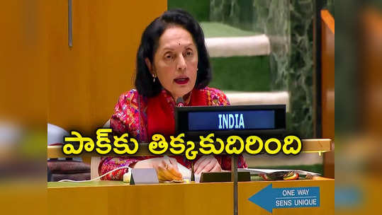 Pakistan: బుద్ధి మారని పాక్.. ఐక్యరాజ్యసమితిలో అయోధ్య, సీఏఏపై వ్యాఖ్యలు.. భారత్ వార్నింగ్ 