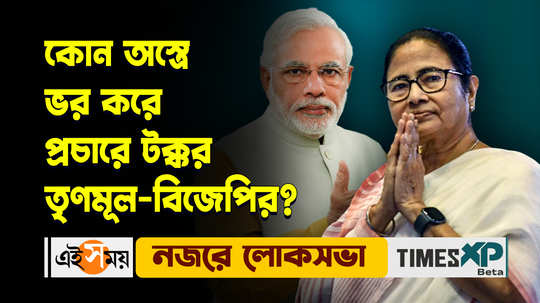 lok sabha election 2024 campaign strategy of tmc and bjp discussed in details watch video