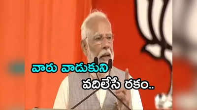 Narendra Modi: అన్నాచెళ్లెళ్లు ఇద్దరూ ఒక్కటే.. జగన్ పేరెత్తకుండానే ప్రధాని విమర్శలు 