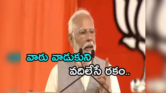 Narendra Modi: అన్నాచెళ్లెళ్లు ఇద్దరూ ఒక్కటే.. జగన్ పేరెత్తకుండానే ప్రధాని విమర్శలు 