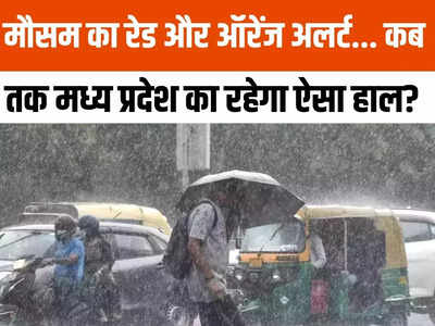 MP Weather:  तूफानी हवाएं, ओले और तेज बारिश... मौसम विभाग ने एमपी के 12 जिलों के लिए जारी की चेतावानी