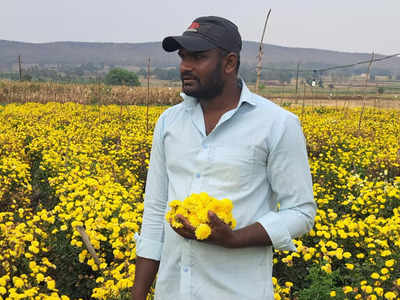 Agriculture Success Story - ಹಾವೇರಿ ಯುವ ರೈತನಿಗೆ ಲಕ್ಷಾಂತರ ಆದಾಯ ತಂದ ‘ಸ್ಮಾರ್ಟ್ ಕೃಷಿ’