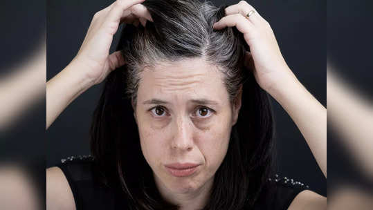 Gray Hair Myth: নিয়মিত তেল মাখলেই কি পাকা চুল কালো হয়ে যাবে? সত্যিটা জেনে নিন চিকিৎসকের থেকেই