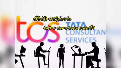 TCS: టీసీఎస్ ఉద్యోగులకు గుడ్‌న్యూస్.. జీతాల పెంపుపై కీలక రిపోర్ట్.. ఎవరికి ఎంత పెరగనుందంటే? 