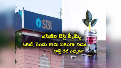 SBI 5 స్పెషల్ స్కీమ్స్.. వీటిల్లోనే అత్యధిక వడ్డీ రేట్లు.. కస్టమర్లకు బంపర్ ఆఫర్.. కొన్ని రోజులే ఛాన్స్! 