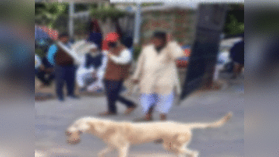 Lucknow News: KGMU में कुत्ते की फोटो वायरल होने पर दो गार्डों पर गिरी गाज