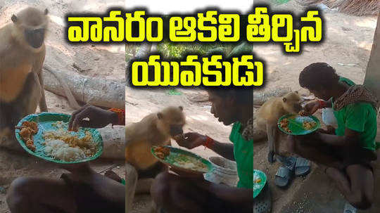 young man feed rice to baboon konaseema district