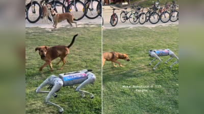 IIT कानपुर के पार्क में था रोबोट डॉग, असली कुत्तों ने देखा तो घेर लिया, आगे जो हुआ वह देखकर इंजीनियर हंसने लगे