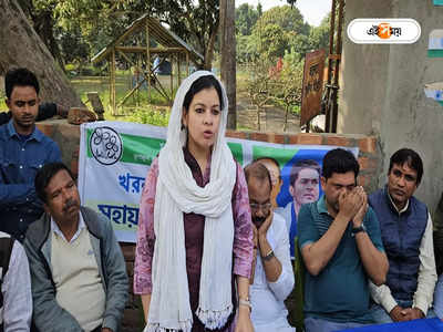 West Bengal Election : গোঁসা হয়নি, টিকিট না পাওয়ার ১০ দিন পর মুখ খুললেন তৃণমূলের মৌসম