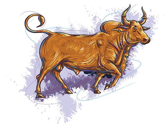 Taurus