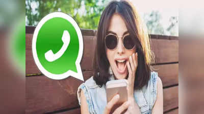 WhatsApp-এ দেওয়া যাবে 1 মিনিট ভিডিয়োর স্টেটাস, হোলির আগে বড় চমক মেটার