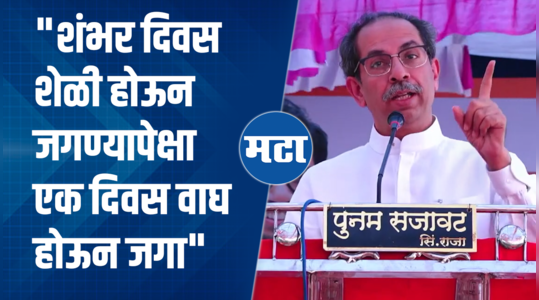 uddhav thackeray on raj thackeray