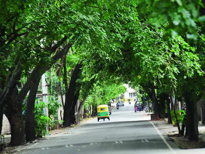 World Forest Day Special - ಇದು ನಾಡೊಳಗೆ ಕಾಡು ಉಳಿಸುವ ಹೊಸ ಟ್ರೆಂಡ್ ! ಸಣ್ಣ ಪುಟ್ಟ ಮಾದರಿಯಲ್ಲೇ ಪರಿಸರ ಕಾಳಜಿ