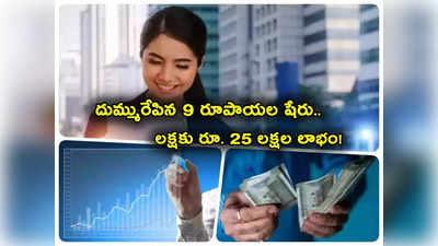 Multibagger Stock: లక్షకు రూ. 25 లక్షలు.. రూ. 9 షేరుతోనే కాసుల పంట.. 2500 శాతం రిటర్న్స్..! 