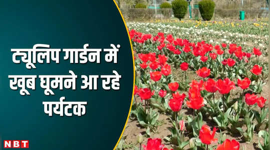 huge crowd of tourists in tulip garden of jammu and kashmir