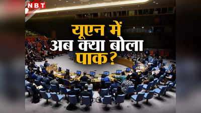 UNSC की विश्वसनीयता हो रही कम... संयुक्त राष्ट्र में सुधारों पर बोला पाकिस्तान, भारत का रास्‍ता रोक दे रहा नसीहत
