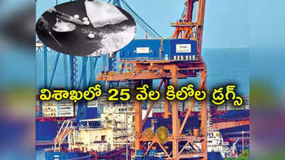 Vizag Drugs: విశాఖలో ఆపరేషన్ గరుడ.. పోర్టులో 25 వేల కిలోల డ్రగ్స్ స్వాధీనం చేసుకున్న సీబీఐ