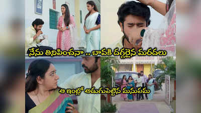 Guppedantha Manasu Today మార్చి 22 ఎపిసోడ్: అనుపమ డిశ్చార్జ్.. తిరిగి ఆ ఇంటికే.. తోడుగా మను