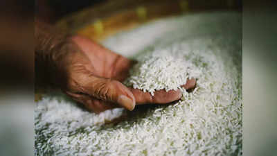 Rice Prices: खुशखबर... आता स्वस्त दरात तांदूळ मिळणार, भारतात तांदळाच्या किमतीत घसरण