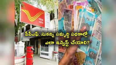 IPPB: సుకన్య సమృద్ధి, పీపీఎఫ్, రికరింగ్ డిపాజిట్లు.. పోస్టల్ బ్యాంక్ ద్వారా ఈ స్కీమ్స్‌లో ఎలా ఇన్వెస్ట్ చేయాలి? 