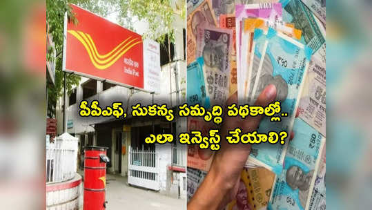 IPPB: సుకన్య సమృద్ధి, పీపీఎఫ్, రికరింగ్ డిపాజిట్లు.. పోస్టల్ బ్యాంక్ ద్వారా ఈ స్కీమ్స్‌లో ఎలా ఇన్వెస్ట్ చేయాలి? 