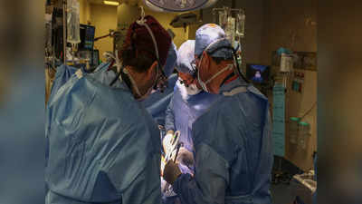 મેડિકલ ક્ષેત્રે મહત્વની સિદ્ધિ: USમાં 62 વર્ષના દર્દીમાં ટ્રાન્સપ્લાન્ટ કરાઈ ભૂંડની કિડની