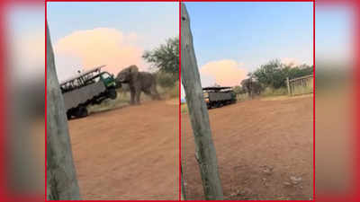 Angry Elephant Video: ಪ್ರವಾಸಿಗರಿದ್ದ ಲಾರಿಯನ್ನೇ ಕೋಪದಲ್ಲಿ ಎತ್ತಿದ ಗಜರಾಜ : ಭಯ ಮೂಡಿಸುತ್ತದೆ ಈ ದೃಶ್ಯ