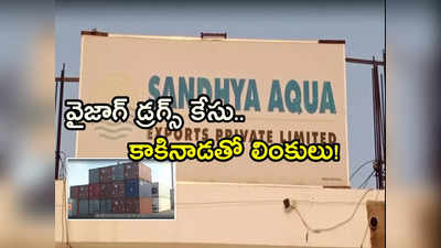 Vizag Drugs case: వైజాగ్‌లో 25 వేల కిలోల డ్రగ్స్ కేసు .. కాకినాడ జిల్లాతో లింకులు.. సీబీఐ తనిఖీలు 