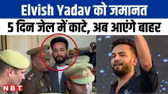 elvish yadav gets bail in snake and venom case