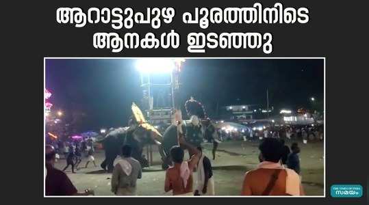 elephant turned viokent during arattupuzha tharaykkal pooram 2024