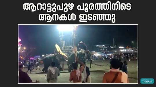 elephant turned viokent during arattupuzha tharaykkal pooram 2024